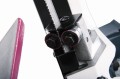 Przecinarka taśmowa SP 13V 230 V 3300075